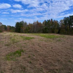 Photo #18 of SOLD property in 1315 NC 43 Hwy, Vanceboro, NC 33.2 acres