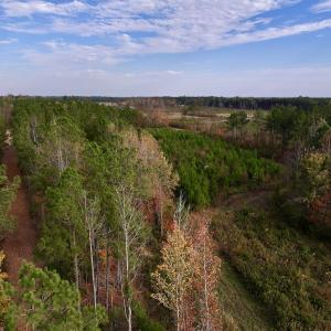 Photo #20 of SOLD property in 1315 NC 43 Hwy, Vanceboro, NC 33.2 acres