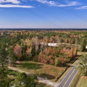 Photo #3 of SOLD property in 1315 NC 43 Hwy, Vanceboro, NC 33.2 acres