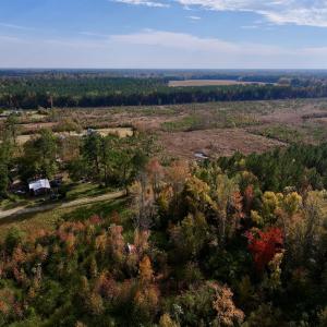 Photo #4 of SOLD property in 1315 NC 43 Hwy, Vanceboro, NC 33.2 acres