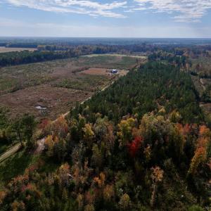 Photo #5 of SOLD property in 1315 NC 43 Hwy, Vanceboro, NC 33.2 acres