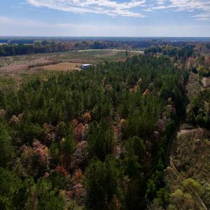 Photo #7 of SOLD property in 1315 NC 43 Hwy, Vanceboro, NC 33.2 acres