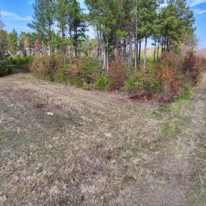 Photo #22 of SOLD property in 1315 NC 43 Hwy, Vanceboro, NC 33.2 acres