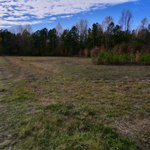 Photo #23 of SOLD property in 1315 NC 43 Hwy, Vanceboro, NC 33.2 acres