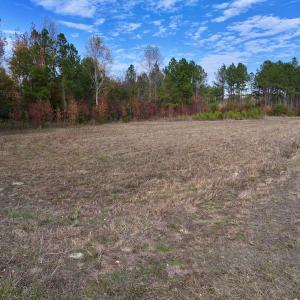 Photo #24 of SOLD property in 1315 NC 43 Hwy, Vanceboro, NC 33.2 acres