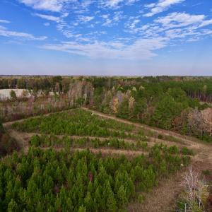 Photo #25 of SOLD property in 1315 NC 43 Hwy, Vanceboro, NC 33.2 acres
