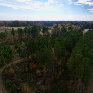 Photo #26 of SOLD property in 1315 NC 43 Hwy, Vanceboro, NC 33.2 acres