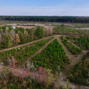 Photo #27 of SOLD property in 1315 NC 43 Hwy, Vanceboro, NC 33.2 acres