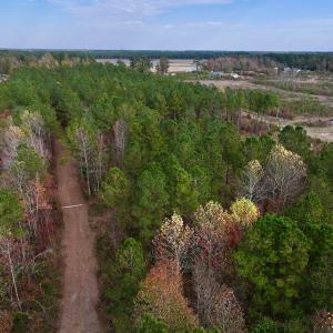 Photo #28 of SOLD property in 1315 NC 43 Hwy, Vanceboro, NC 33.2 acres