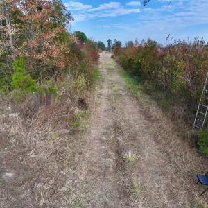 Photo #29 of SOLD property in 1315 NC 43 Hwy, Vanceboro, NC 33.2 acres