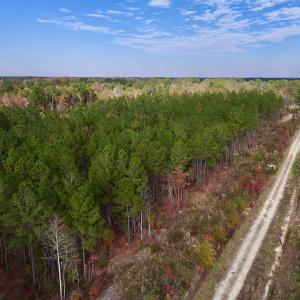 Photo #34 of SOLD property in 1315 NC 43 Hwy, Vanceboro, NC 33.2 acres