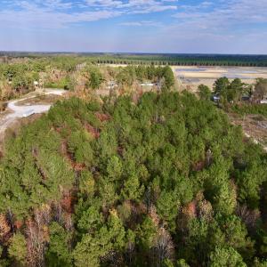 Photo #36 of SOLD property in 1315 NC 43 Hwy, Vanceboro, NC 33.2 acres