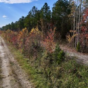 Photo #37 of SOLD property in 1315 NC 43 Hwy, Vanceboro, NC 33.2 acres