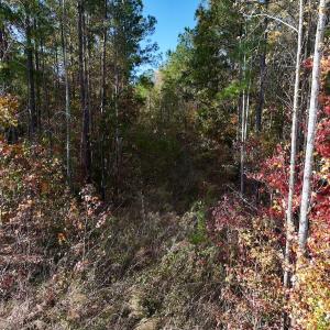 Photo #39 of SOLD property in 1315 NC 43 Hwy, Vanceboro, NC 33.2 acres