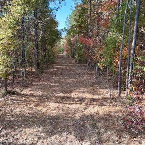 Photo #40 of SOLD property in 1315 NC 43 Hwy, Vanceboro, NC 33.2 acres