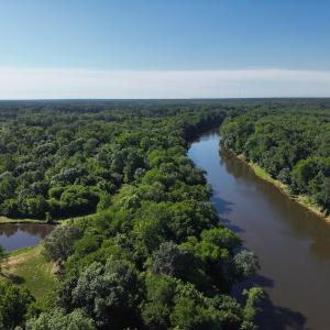Photo #24 of 6267 River Road, White Oak, NC 30.0 acres