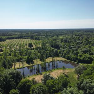 Photo #27 of 6267 River Road, White Oak, NC 30.0 acres