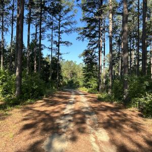 Photo #28 of 6267 River Road, White Oak, NC 30.0 acres