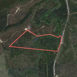 Photo #1 of SOLD property in Off Pine Grove Church Road, Eagle Springs, NC 36.7 acres