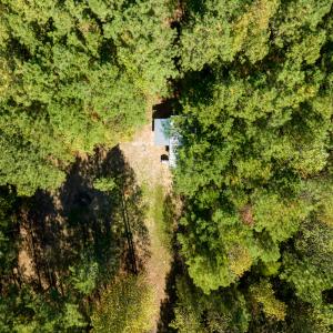 Photo #12 of SOLD property in Off Pine Grove Church Road, Eagle Springs, NC 36.7 acres