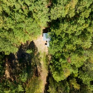 Photo #12 of Off Pine Grove Church Road, Eagle Springs, NC 36.7 acres