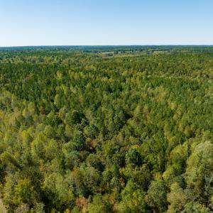 Photo #14 of Off Pine Grove Church Road, Eagle Springs, NC 36.7 acres