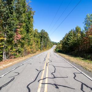 Photo #15 of SOLD property in Off Pine Grove Church Road, Eagle Springs, NC 36.7 acres
