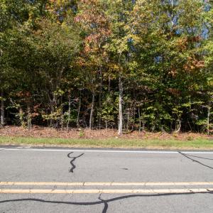 Photo #18 of SOLD property in Off Pine Grove Church Road, Eagle Springs, NC 36.7 acres
