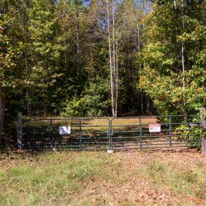 Photo #19 of SOLD property in Off Pine Grove Church Road, Eagle Springs, NC 36.7 acres
