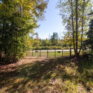 Photo #20 of SOLD property in Off Pine Grove Church Road, Eagle Springs, NC 36.7 acres
