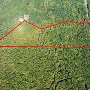 Photo #2 of SOLD property in Off Pine Grove Church Road, Eagle Springs, NC 36.7 acres