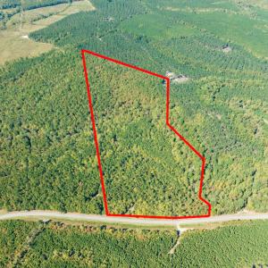 Photo #3 of SOLD property in Off Pine Grove Church Road, Eagle Springs, NC 36.7 acres