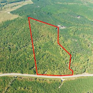 Photo #3 of Off Pine Grove Church Road, Eagle Springs, NC 36.7 acres