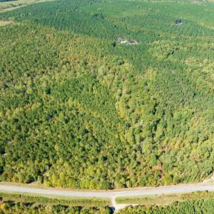 Photo #4 of SOLD property in Off Pine Grove Church Road, Eagle Springs, NC 36.7 acres