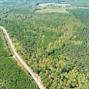 Photo #5 of SOLD property in Off Pine Grove Church Road, Eagle Springs, NC 36.7 acres