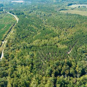 Photo #6 of SOLD property in Off Pine Grove Church Road, Eagle Springs, NC 36.7 acres