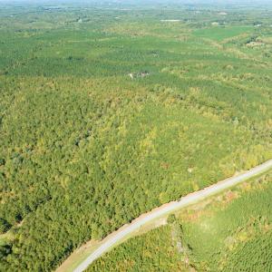Photo #9 of SOLD property in Off Pine Grove Church Road, Eagle Springs, NC 36.7 acres