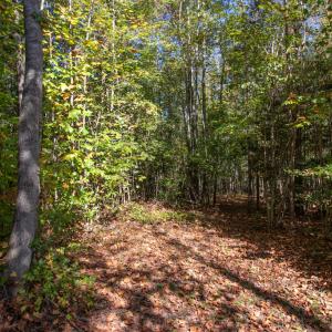 Photo #22 of SOLD property in Off Pine Grove Church Road, Eagle Springs, NC 36.7 acres
