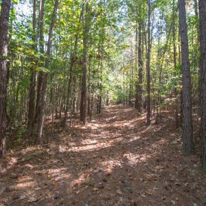 Photo #27 of SOLD property in Off Pine Grove Church Road, Eagle Springs, NC 36.7 acres