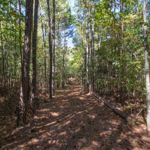 Photo #29 of SOLD property in Off Pine Grove Church Road, Eagle Springs, NC 36.7 acres
