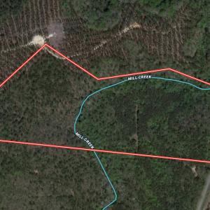 Photo #33 of SOLD property in Off Pine Grove Church Road, Eagle Springs, NC 36.7 acres