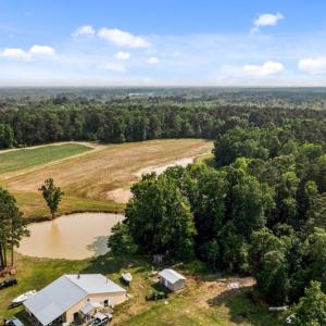 Photo #12 of 1416 NC 45 S., Windsor, NC 148.0 acres