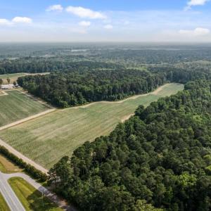 Photo #15 of SOLD property in 1416 NC 45 S., Windsor, NC 148.0 acres