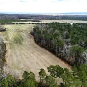 Photo #16 of SOLD property in 1416 NC 45 S., Windsor, NC 148.0 acres