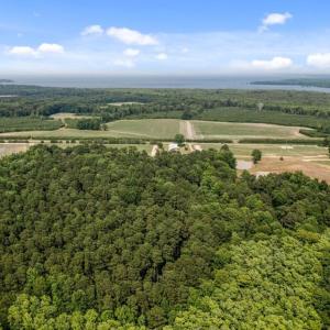 Photo #18 of 1416 NC 45 S., Windsor, NC 148.0 acres