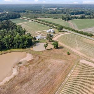 Photo #21 of 1416 NC 45 S., Windsor, NC 148.0 acres