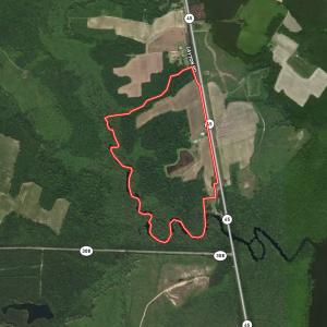 Photo #29 of 1416 NC 45 S., Windsor, NC 148.0 acres