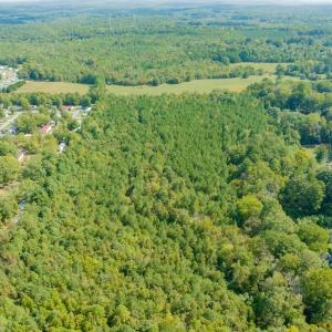 Photo #12 of Off Pony Farm Drive, Siler City , NC 8.1 acres