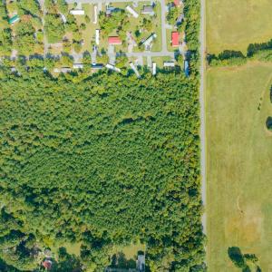 Photo #4 of Off Pony Farm Drive, Siler City , NC 8.1 acres