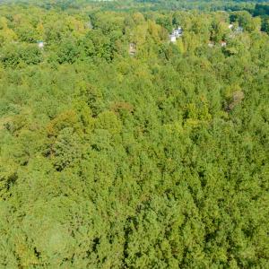 Photo #5 of Off Pony Farm Drive, Siler City , NC 8.1 acres